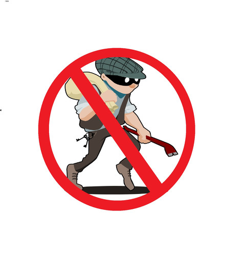 Paza & Sisteme de Securitate